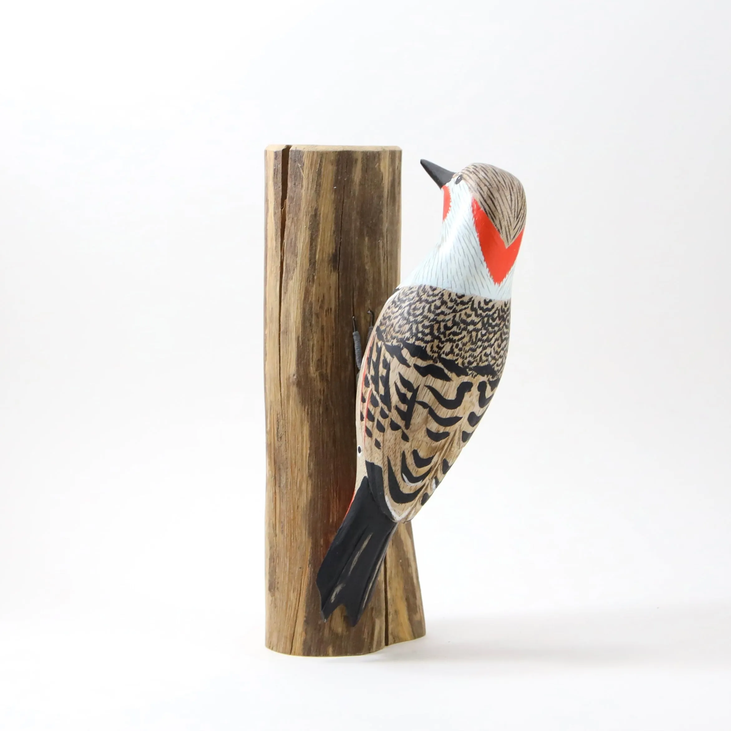 Flicker Woodpecker in Wood