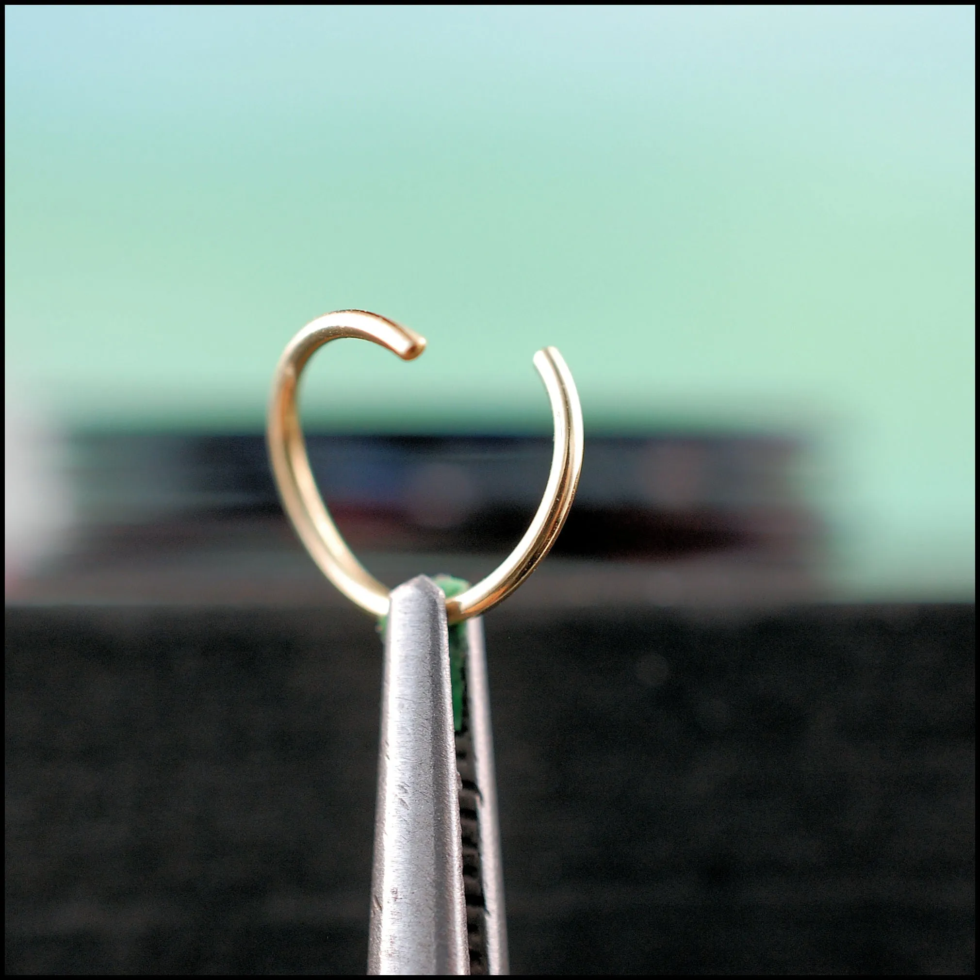 Gold Nose Ring Hoop