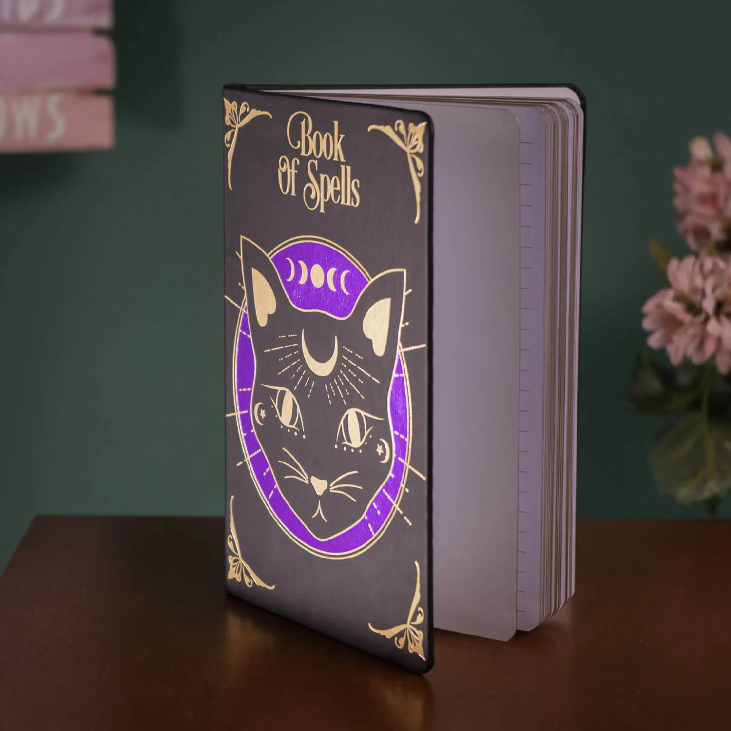 Mystic Mog Book of Spells Journal